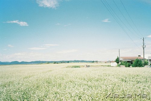 无论发生什么，先善待自己 (2)