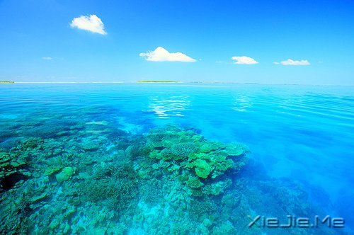 无论发生什么，先善待自己 (5)