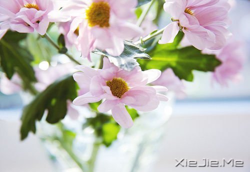 无论发生什么，先善待自己 (6)