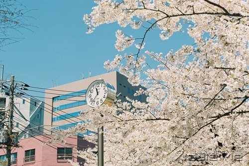 无论发生什么，先善待自己 (9)