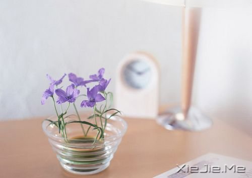 早安心语：有些事难以左右，有些话难以开口 (9)