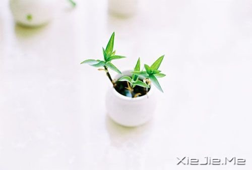 晚安心语：有一种想念，叫避而不见 (3)